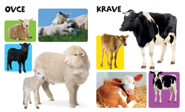 MOJA MALA FARMA - Slika 2